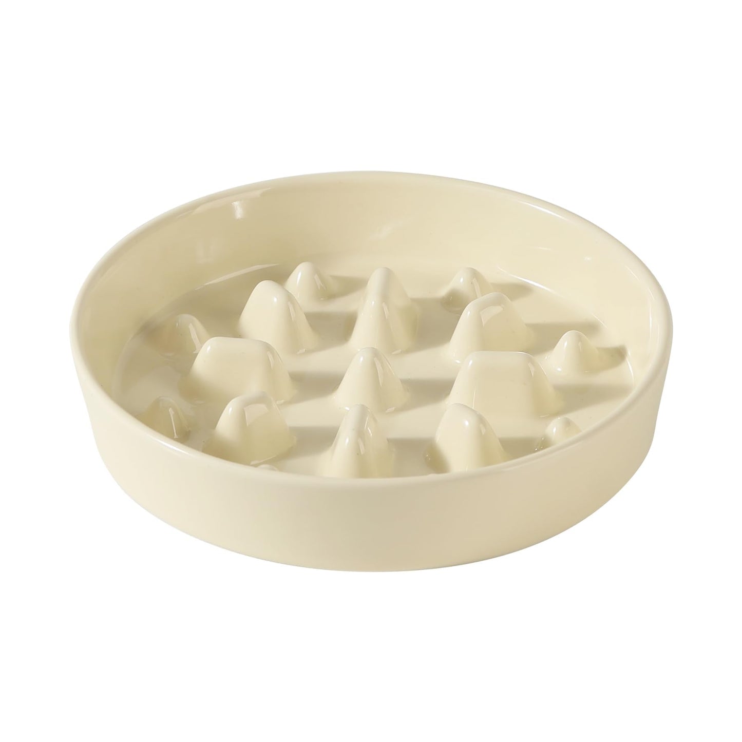 Ceramic Slow Feeder Bowl for Dogs & Cats
