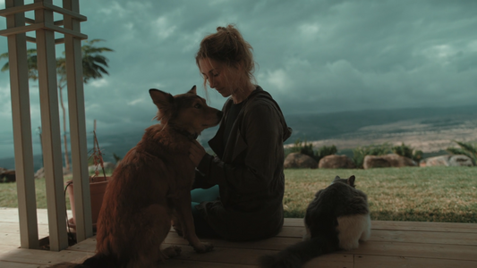 The Art of a Calm Pet Routine: Enrichment, Rest, and Everyday Connection