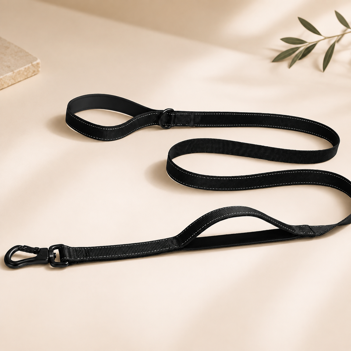 Leashes