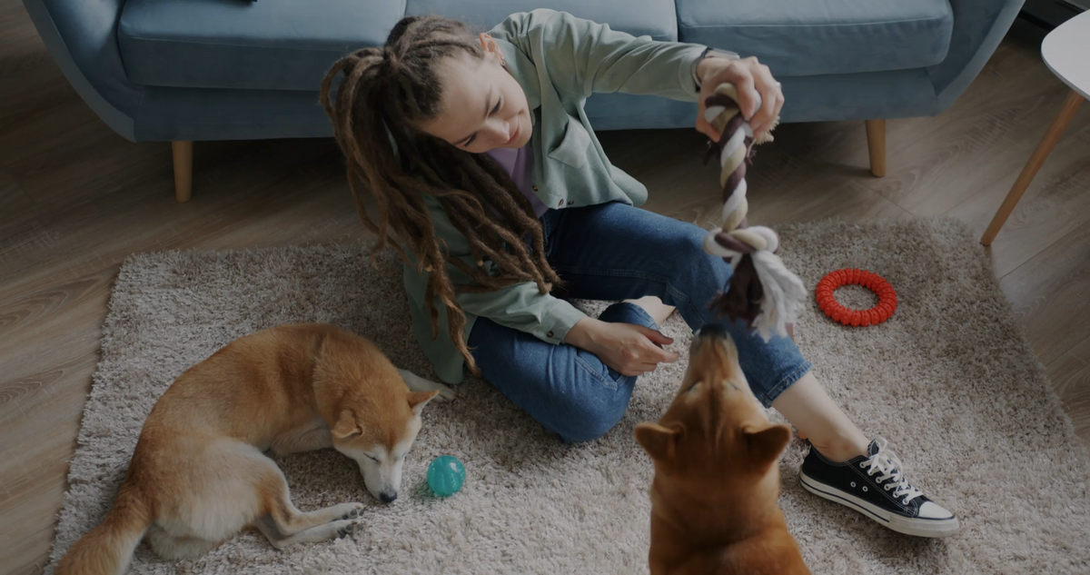 Puzzle Toys