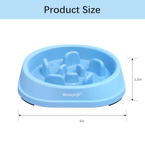 Slow Feeder Dog Bowl for Healthy Eating & Digestion