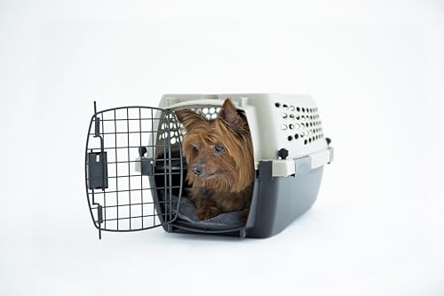 Plastic Dog Kennel for Safe Travel & Indoor Use