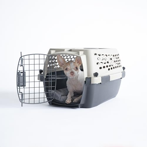 Plastic Dog Kennel for Safe Travel & Indoor Use