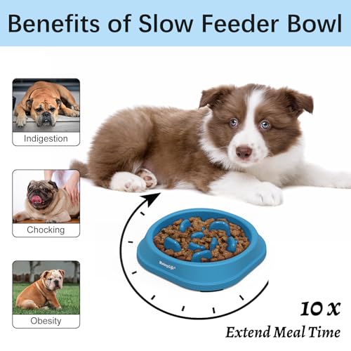 Slow Feeder Dog Bowl for Healthy Eating & Digestion