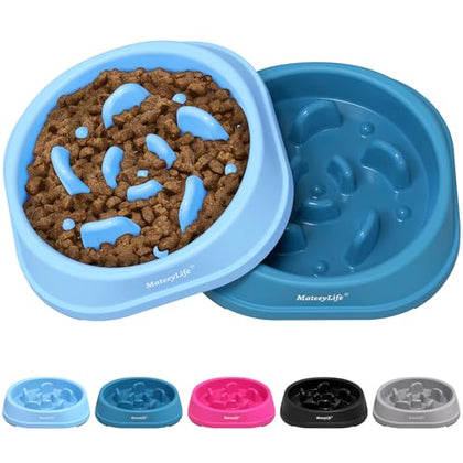 Slow Feeder Dog Bowl for Healthy Eating & Digestion