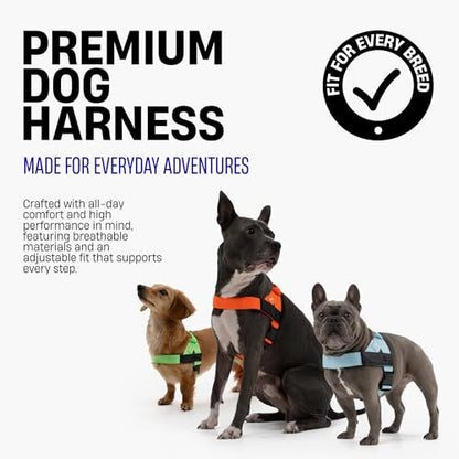 Comfortable No Pull Dog Harness