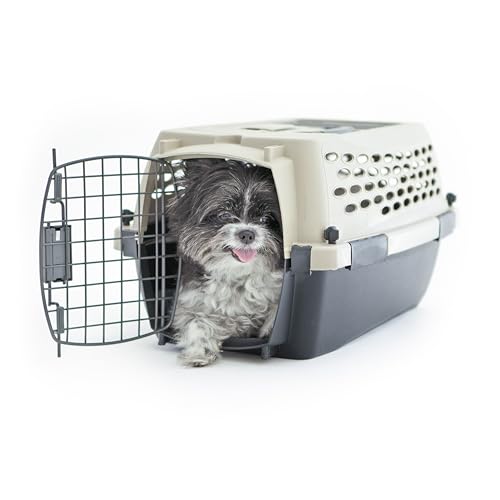 Plastic Dog Kennel for Safe Travel & Indoor Use