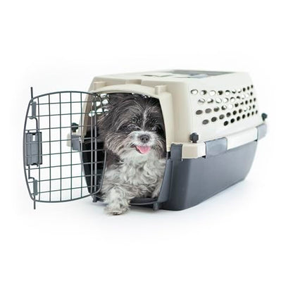 Plastic Dog Kennel for Safe Travel & Indoor Use