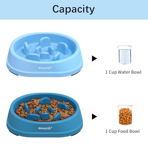Slow Feeder Dog Bowl for Healthy Eating & Digestion