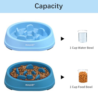 Slow Feeder Dog Bowl for Healthy Eating & Digestion