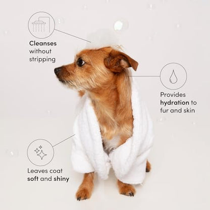 Scented Pet Shampoo for Dogs with Gentle Care