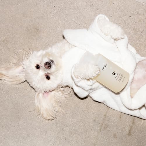 Scented Pet Shampoo for Dogs with Gentle Care