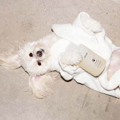Scented Pet Shampoo for Dogs with Gentle Care