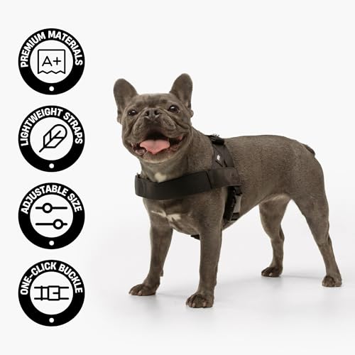 Comfortable No Pull Dog Harness