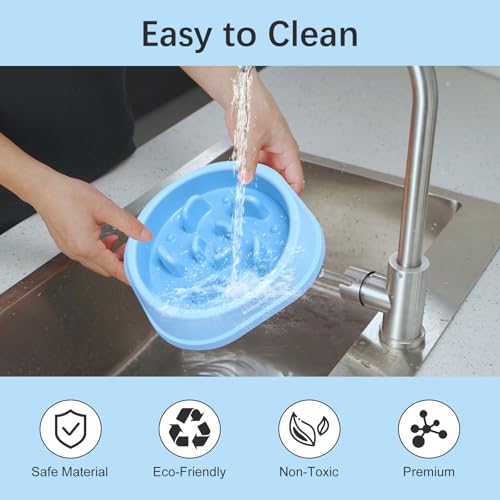 Slow Feeder Dog Bowl for Healthy Eating & Digestion