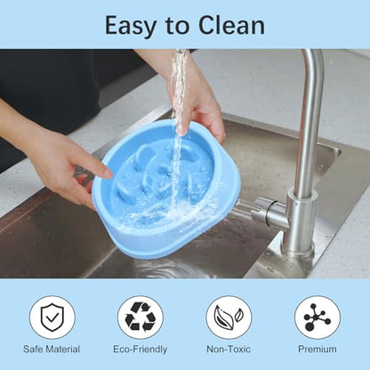 Slow Feeder Dog Bowl for Healthy Eating & Digestion