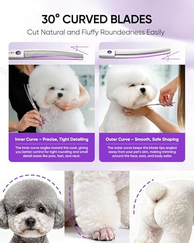 Professional Dog Grooming Scissors