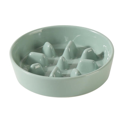 Ceramic Slow Feeder Bowl for Dogs & Cats