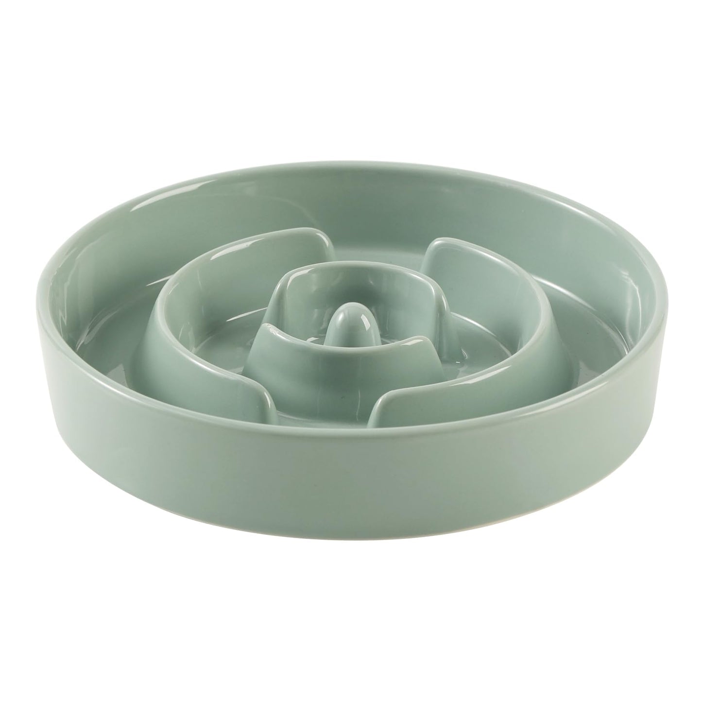 Ceramic Slow Feeder Bowl for Dogs & Cats