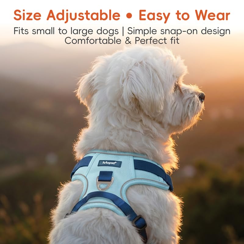 Reflective No Pull Dog Harness & Leash Set