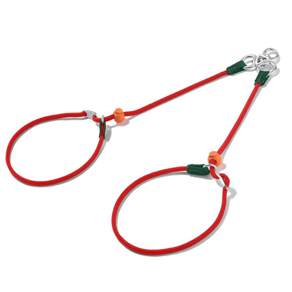 Slip Lead Dog Leash with Tangle Free Swivel Design