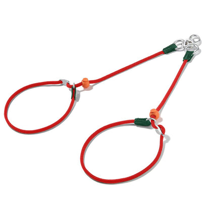 Slip Lead Dog Leash with Tangle Free Swivel Design