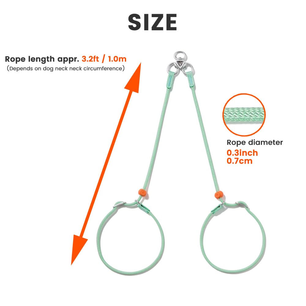 Slip Lead Dog Leash with Tangle Free Swivel Design