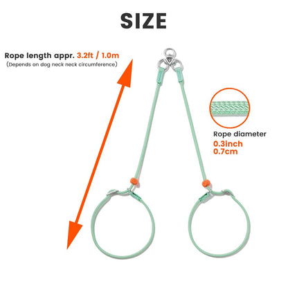 Slip Lead Dog Leash with Tangle Free Swivel Design