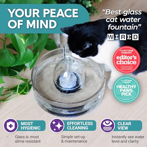 Glass Pet Water Fountain for Cats & Dogs