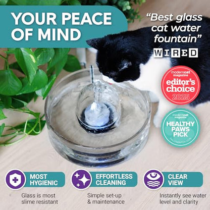 Glass Pet Water Fountain for Cats & Dogs