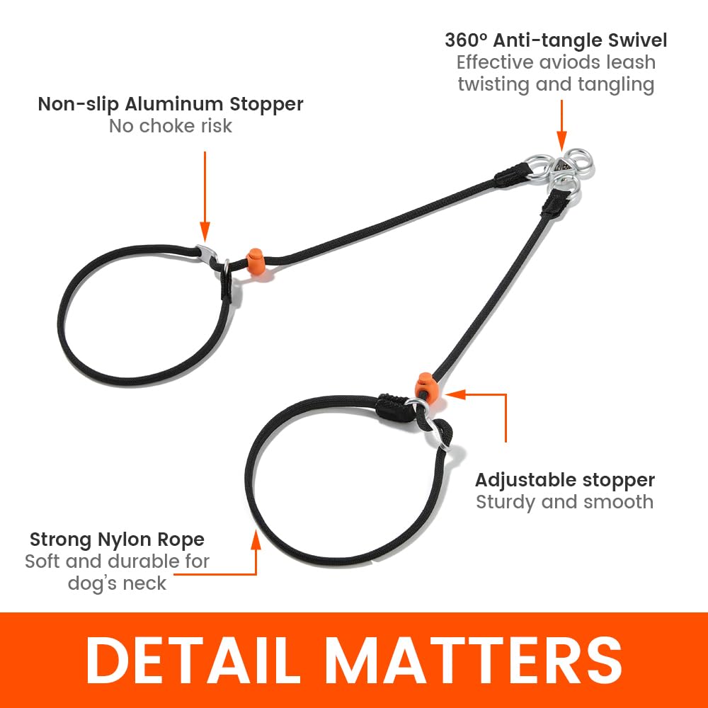 Slip Lead Dog Leash with Tangle Free Swivel Design