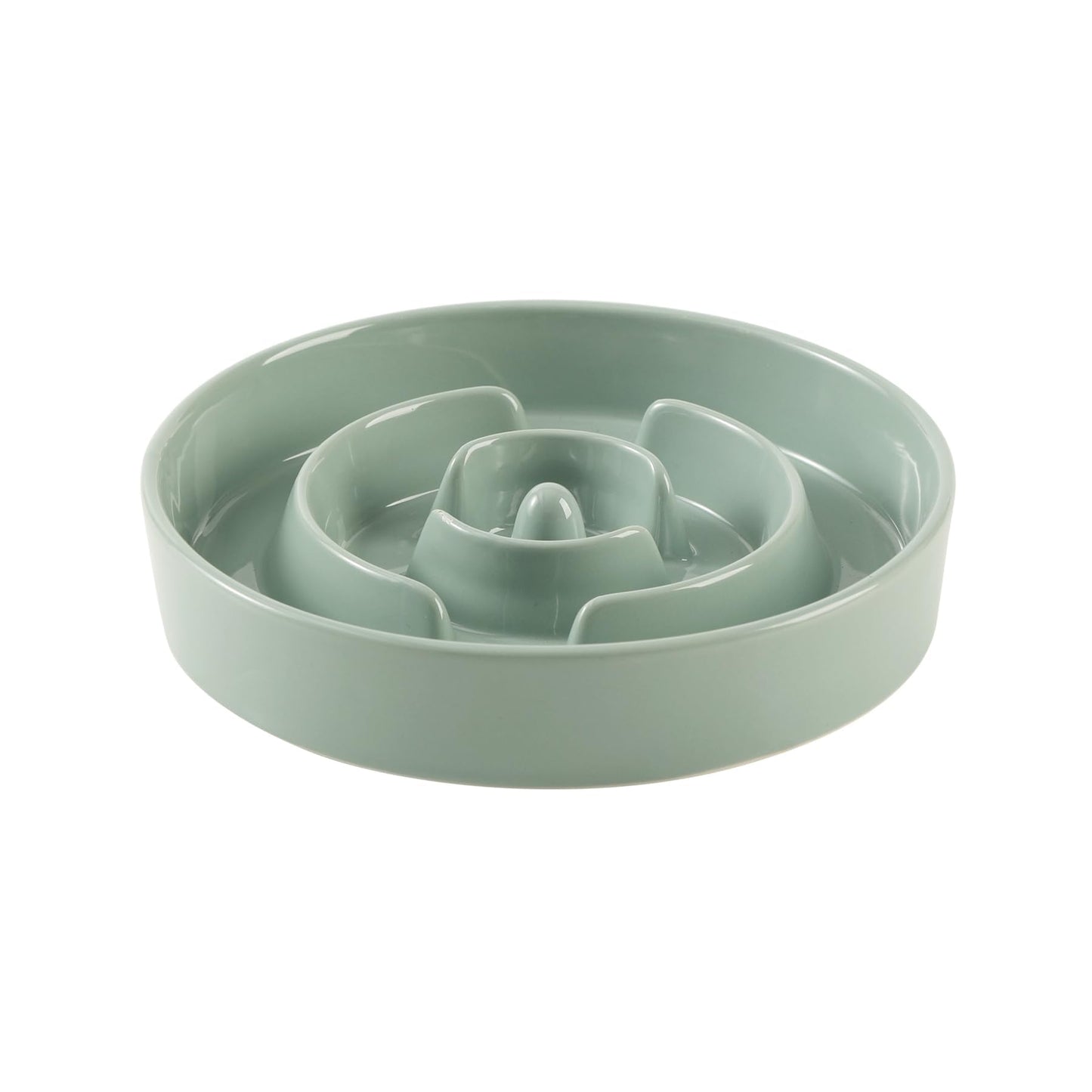 Ceramic Slow Feeder Bowl for Dogs & Cats
