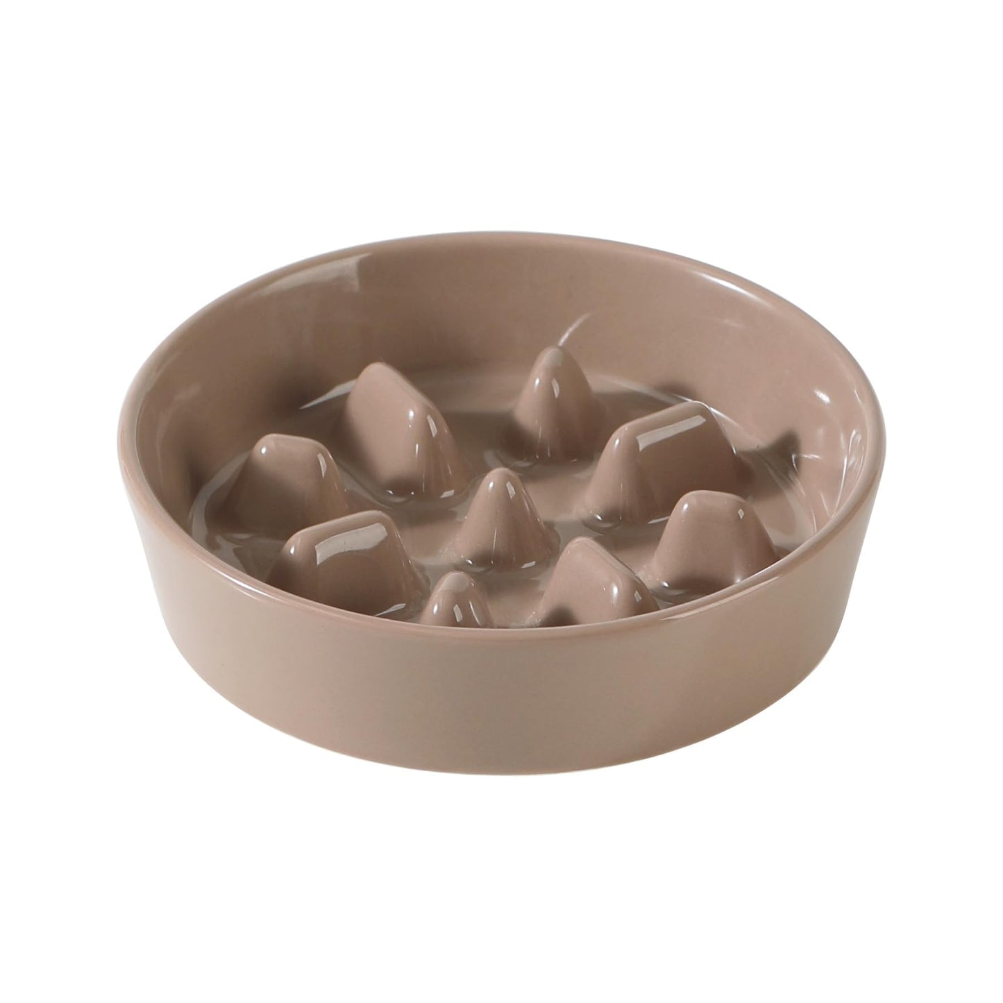 Ceramic Slow Feeder Bowl for Dogs & Cats