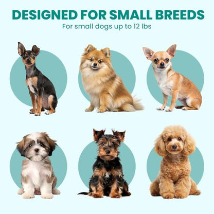 Collapsible Dog Crate for Indoor & Travel Use