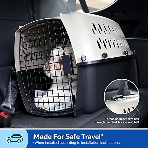 Plastic Dog Kennel for Safe Travel & Indoor Use