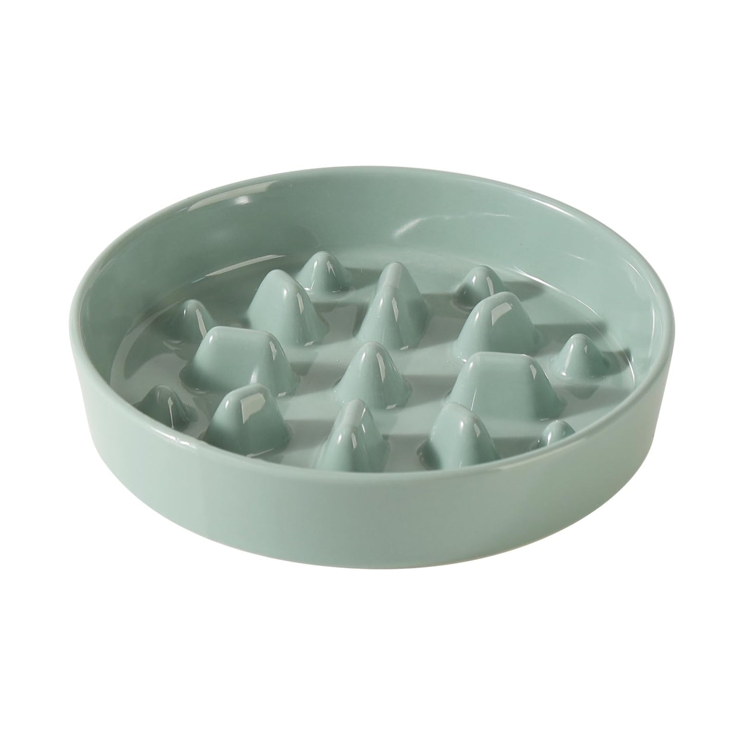 Ceramic Slow Feeder Bowl for Dogs & Cats