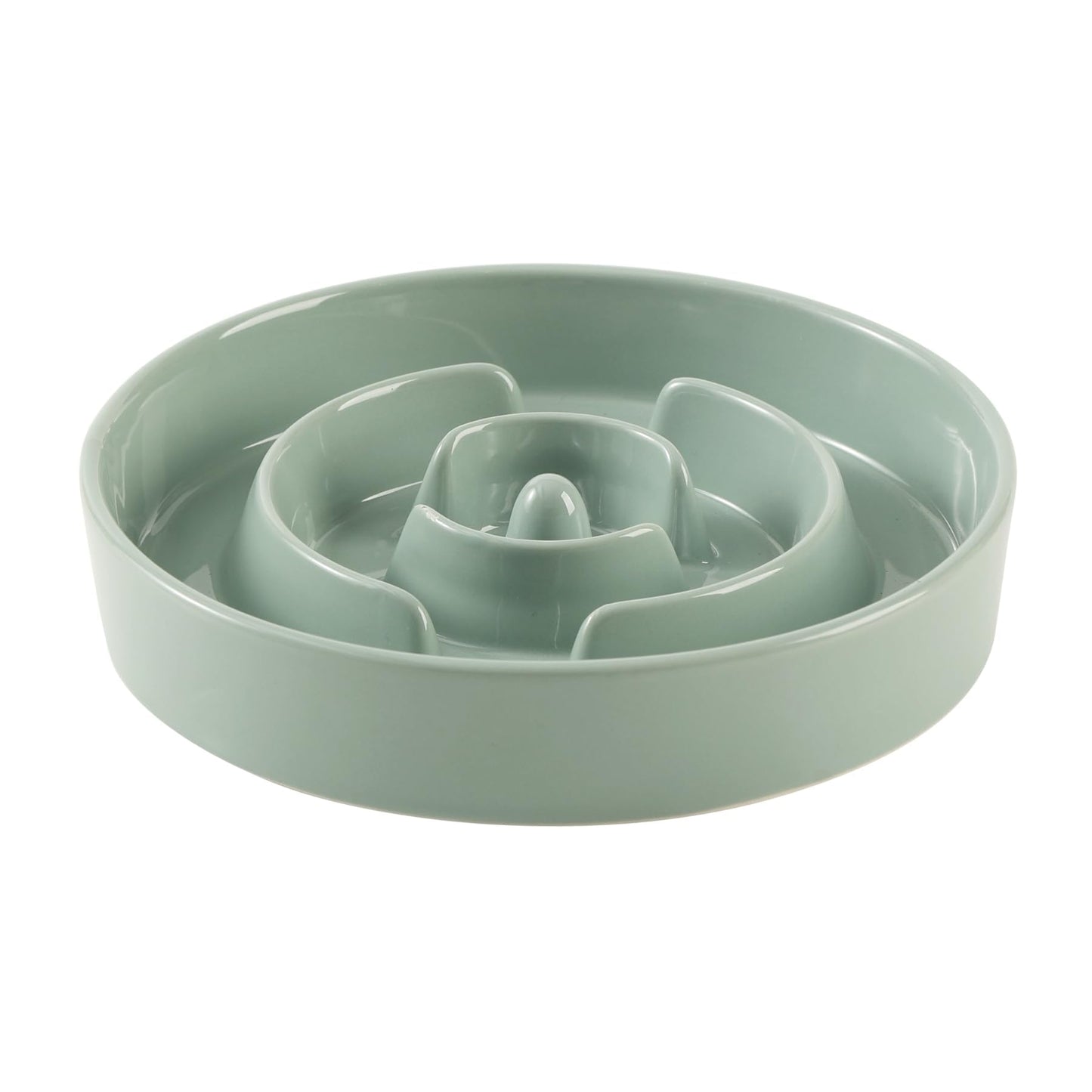 Ceramic Slow Feeder Bowl for Dogs & Cats