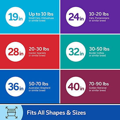 Plastic Dog Kennel for Safe Travel & Indoor Use