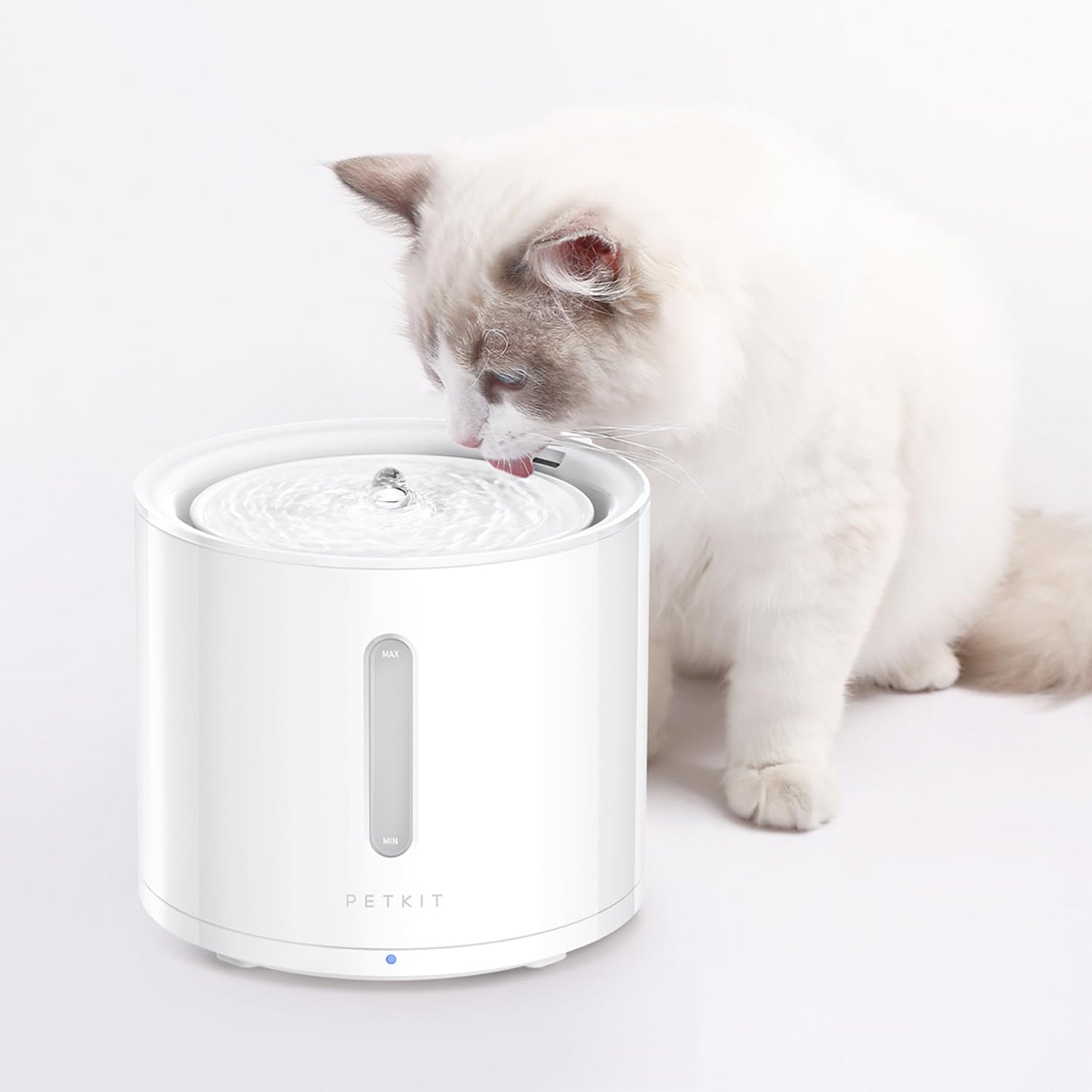 Wireless Smart Pet Water Fountain with App Control