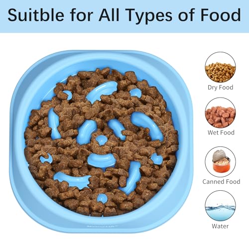 Slow Feeder Dog Bowl for Healthy Eating & Digestion