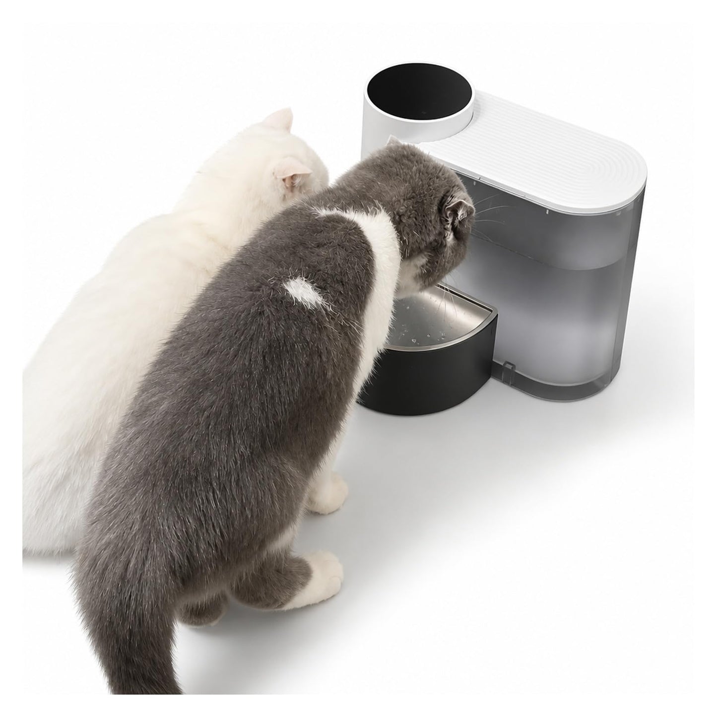 Pet Water Fountain, Pet Water Dispenser