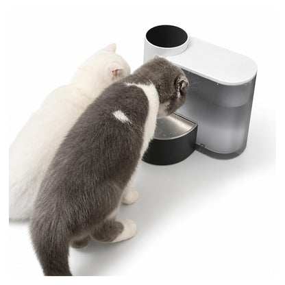 Pet Water Fountain, Pet Water Dispenser
