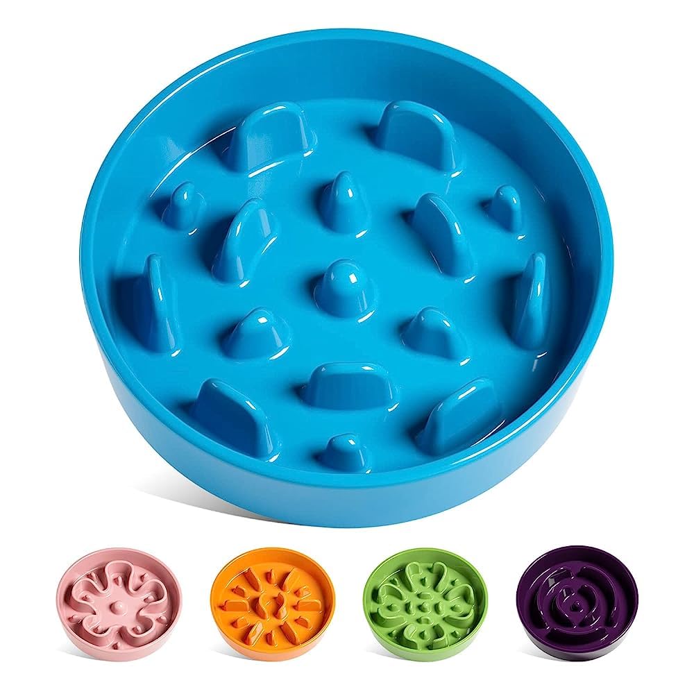 Ceramic Slow Feeder Bowl for Dogs & Small Pets