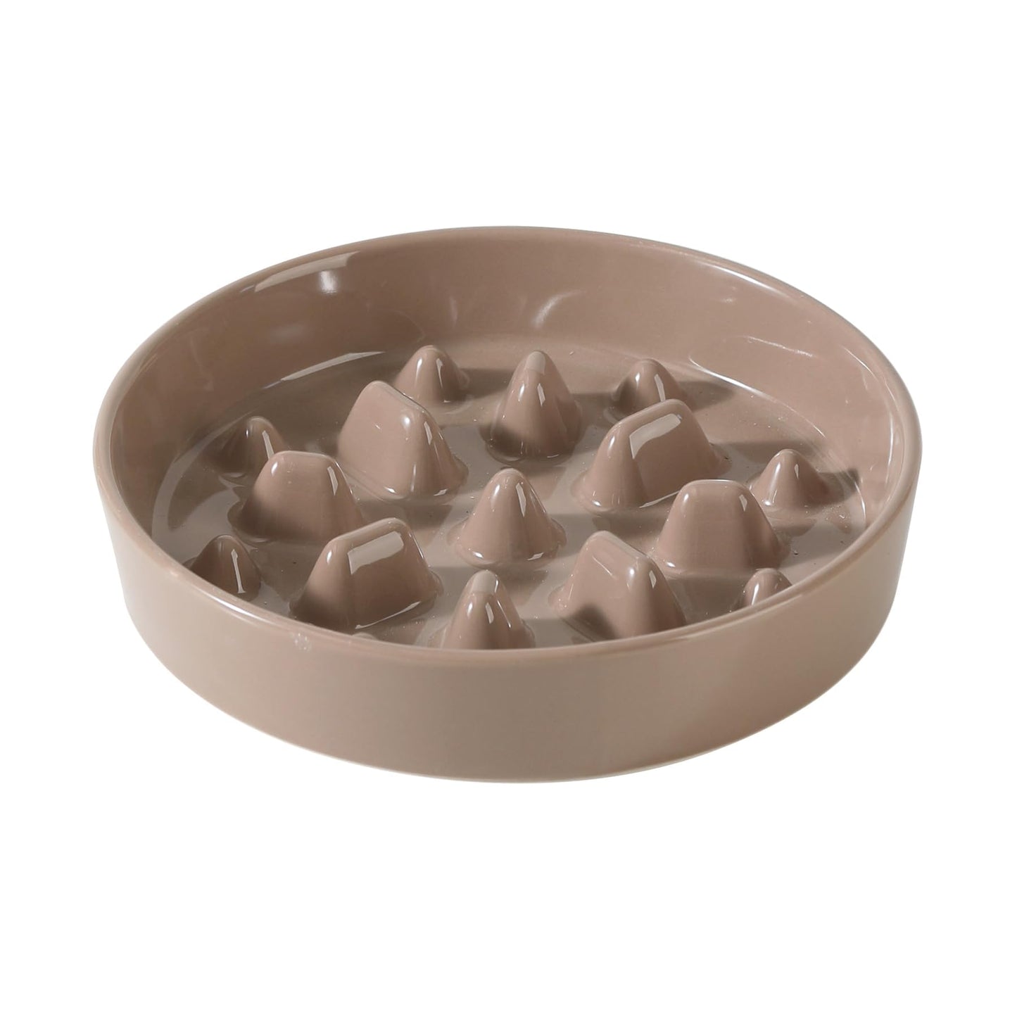 Ceramic Slow Feeder Bowl for Dogs & Cats