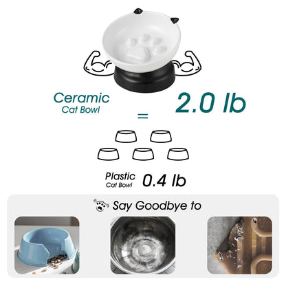 Elevated Ceramic Slow Feeder Bowl for Cats & Small Dogs