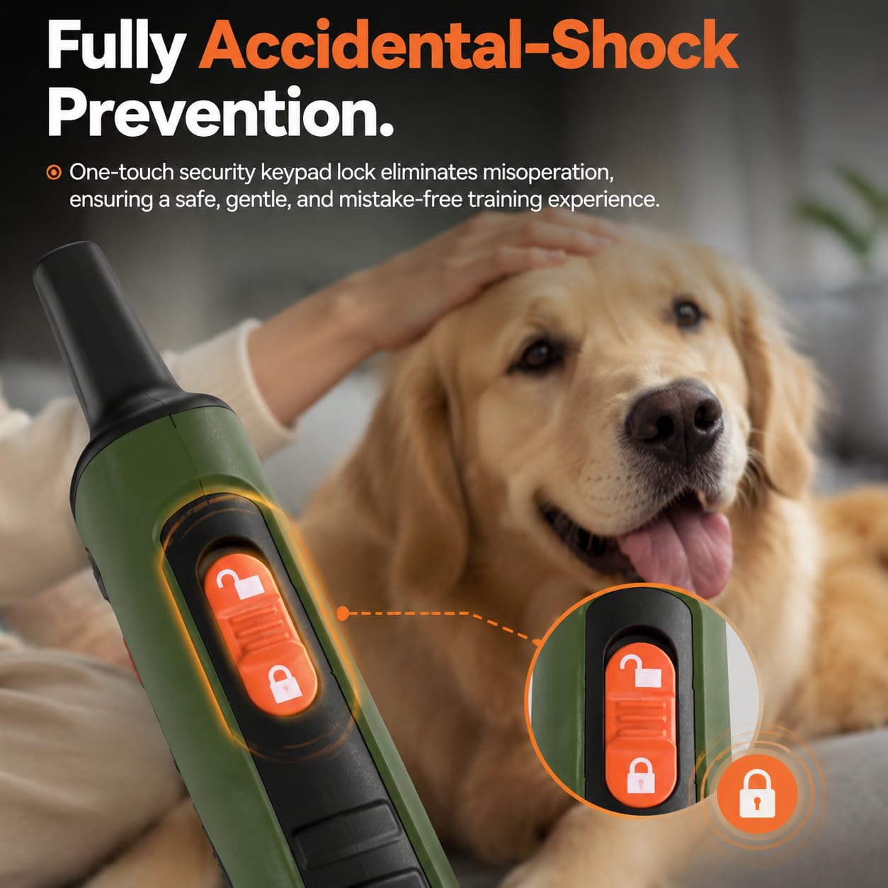 Remote Training Collar for Dogs of All Sizes