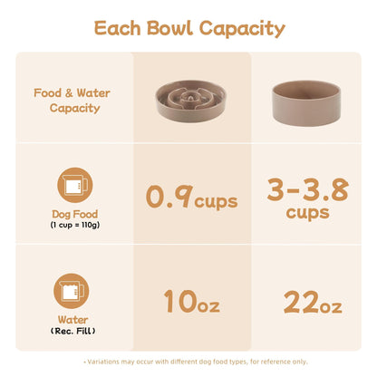 Ceramic Slow Feeder Bowl for Dogs & Cats