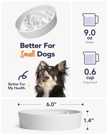 Ceramic Slow Feeder Bowl for Dogs & Small Pets