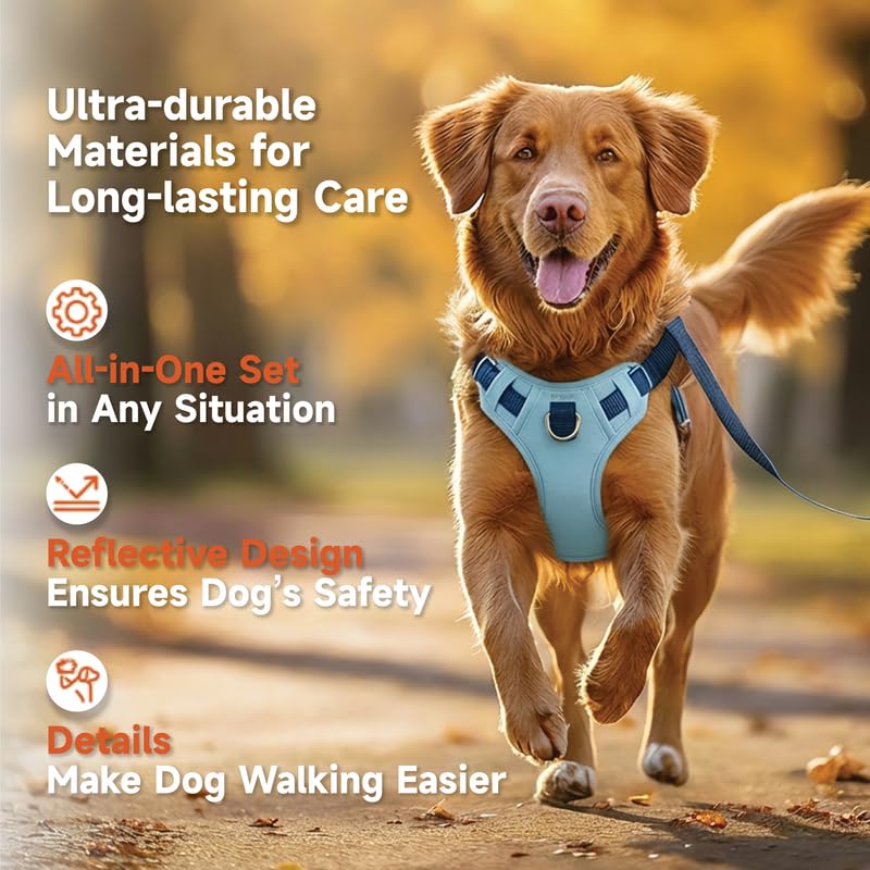 Reflective No Pull Dog Harness & Leash Set