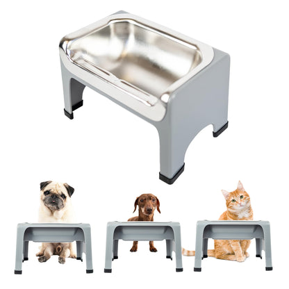Elevated Stainless Steel Dog Bowl Set with Stand